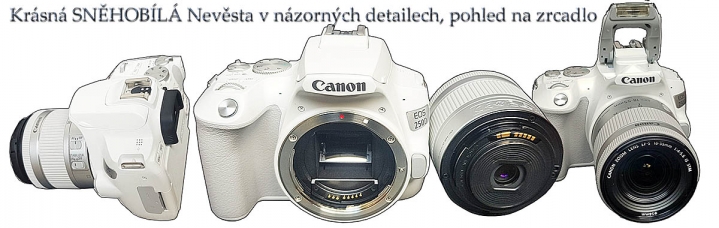 Sněhobílá KRÁSKAv názorných deatilech a pohled na čip Sněhobílá KRÁSKAv názorných deatilech a pohled na čip