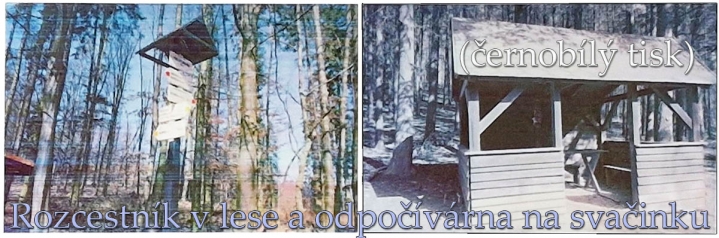 Přímý tisk z přírody: rozcestník a odpočívadlo v lese... Přímý tisk z přírody: rozcestník a odpočívadlo v lese...